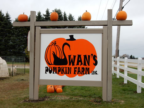Swan's Pumpkin Farm in Racine County