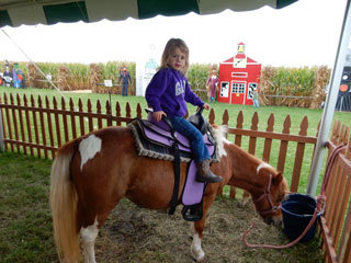 Swan's Pumpkin Farm in Racine County - Pony Rides