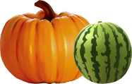 Swan's Pumpkin Farm in Racine County - Wholesale Pumpkins and Watermelons Available