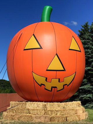 Swan's Pumpkin Farm in Racine County - Jack O Lantern