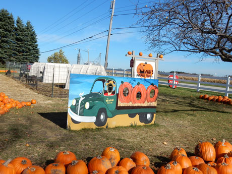 Swan's Pumpkin Farm in Racine County - School Tours