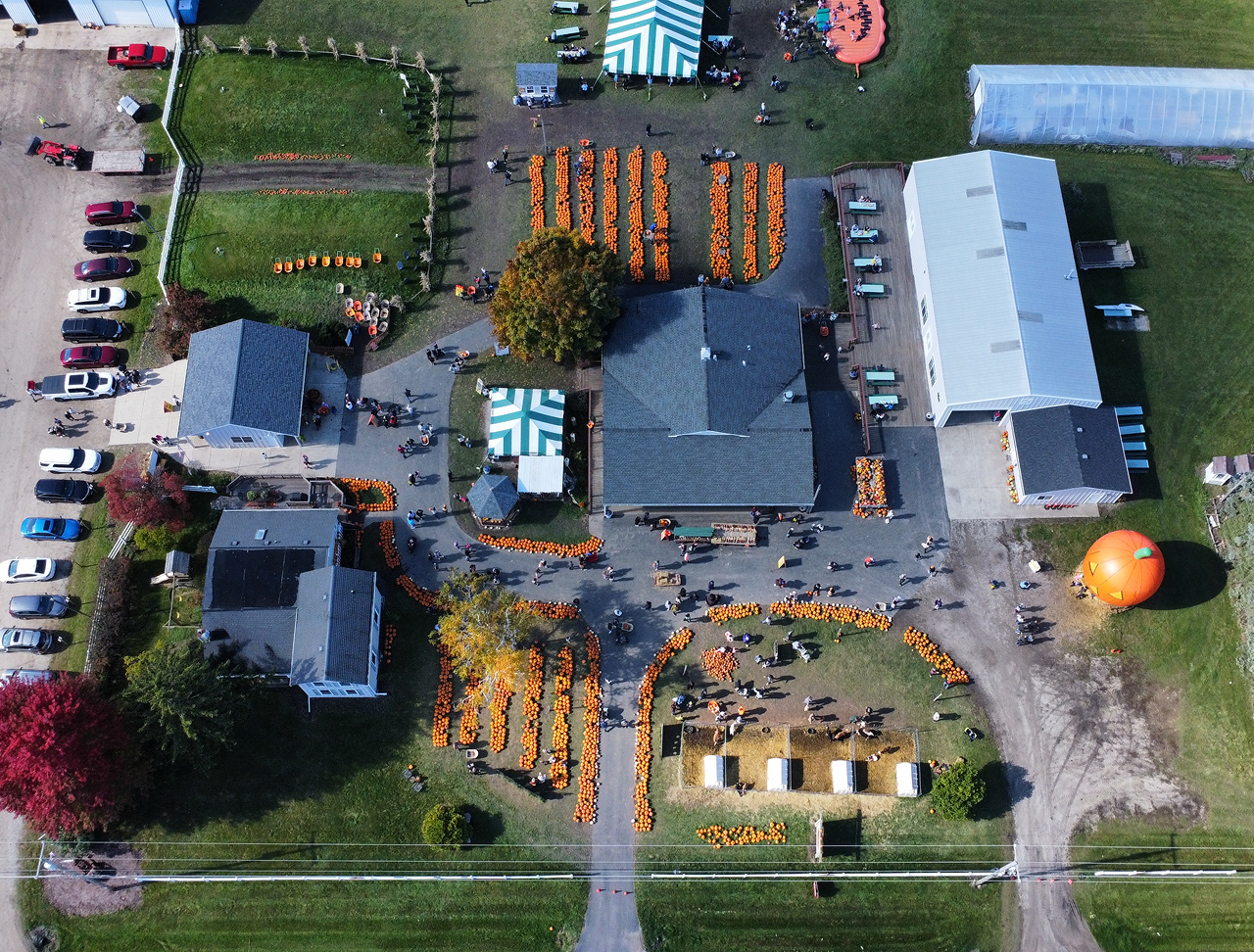 dji_fly_20231022_121214_290_1697994960144_photo_optimized 1